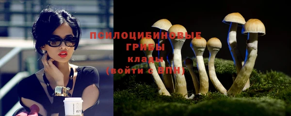 прущие крисы Баксан