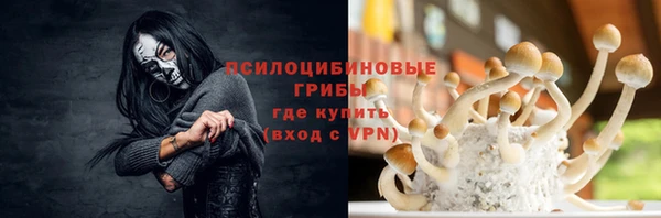 прущие крисы Баксан