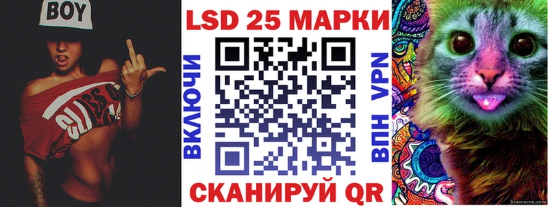 закладка  Чадан  Марки N-bome 1500мкг 