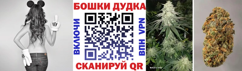 Бошки марихуана индика  Чадан 